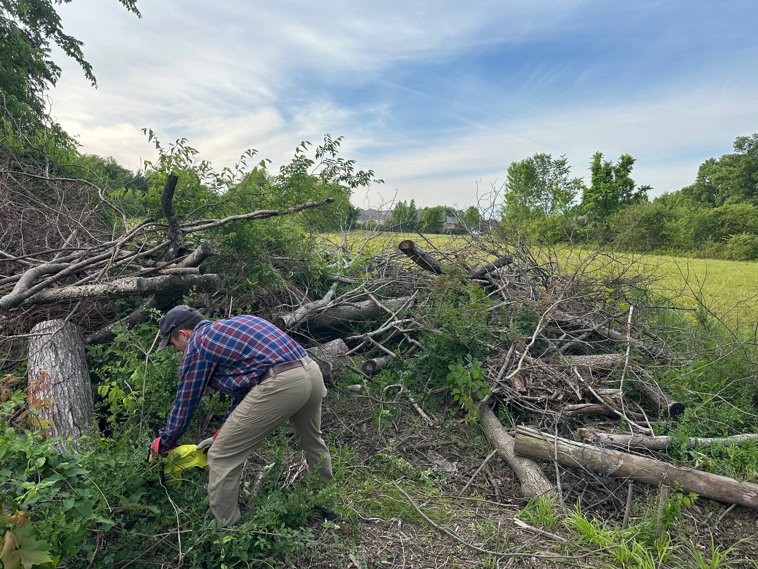 Cutting down brush and limbs on a job